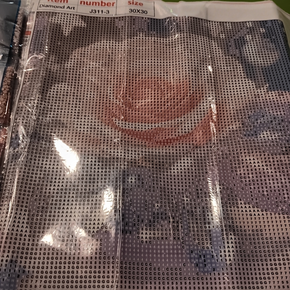 Pink Rose Diamond Art Kit 30x30